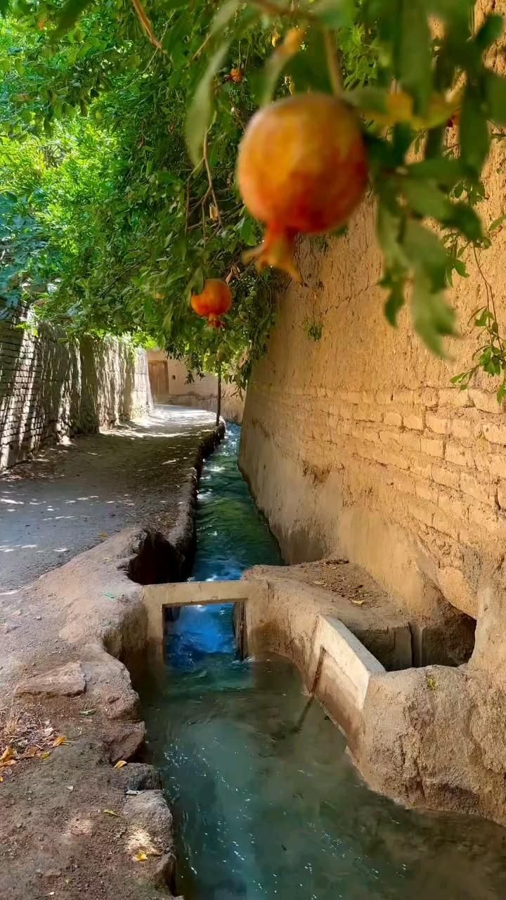 محمدی مهابادی